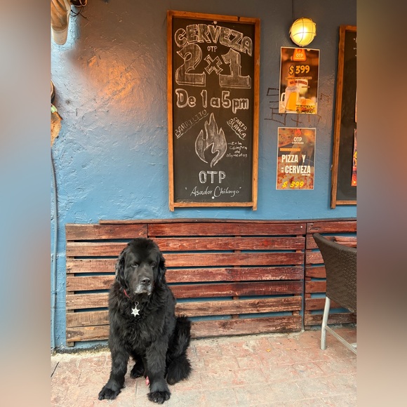 alan1sgoat